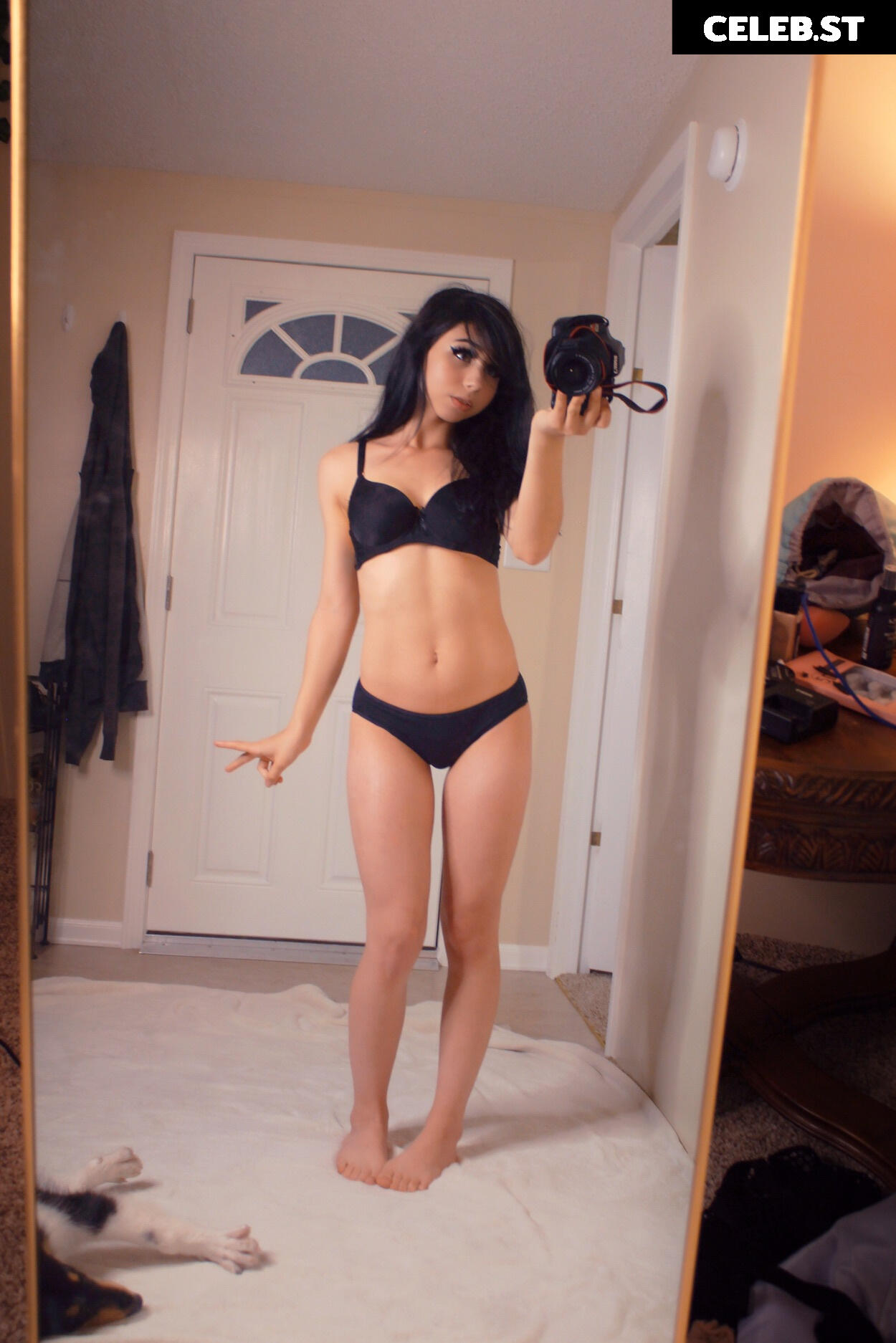 Kiwisunset Image 2450403