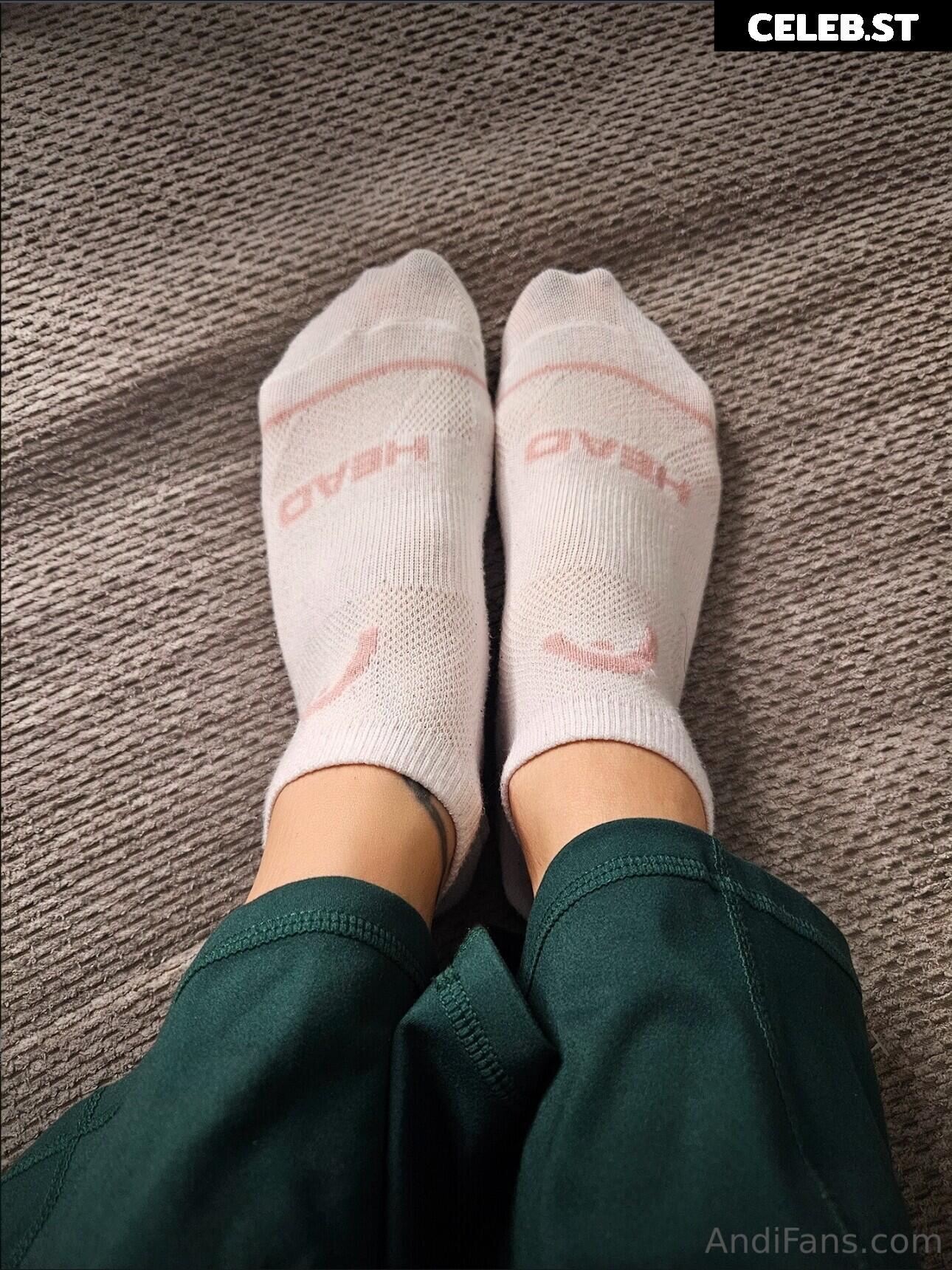 Andi Land Image 24503183