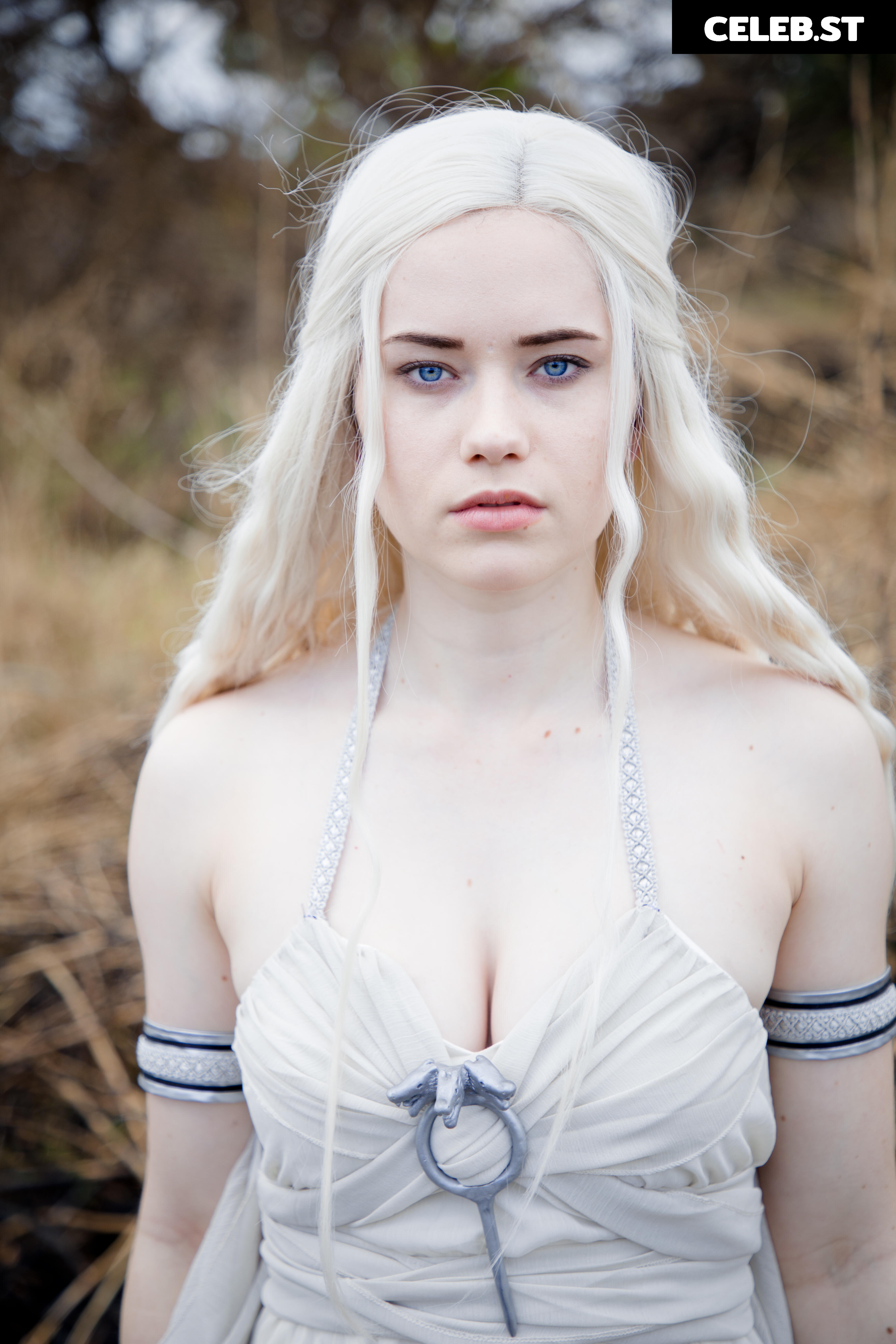 Nichameleon Image 2459423