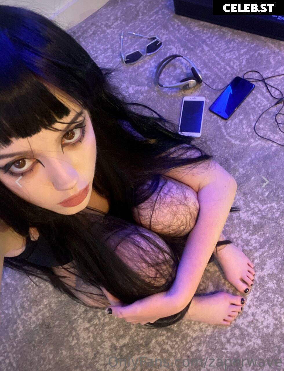 Zaperwave Image 2446715