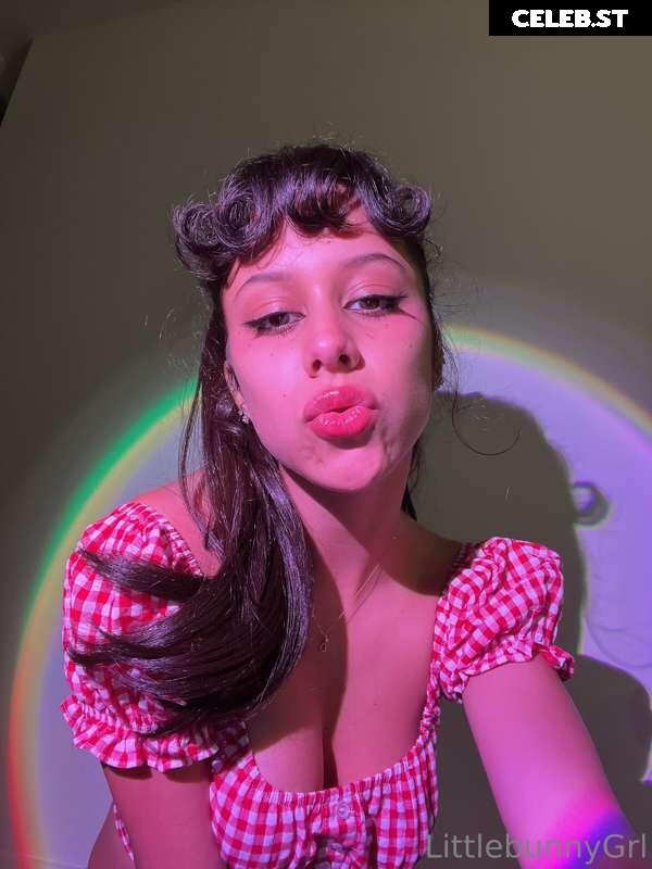 littlebunnygrl Image 2446088