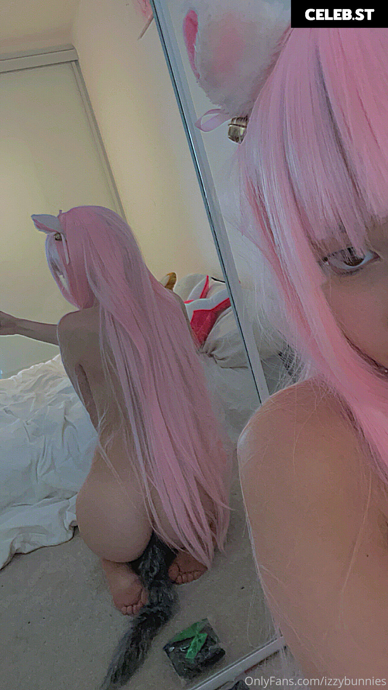 waifumiia / izzybunnies Image 24475416