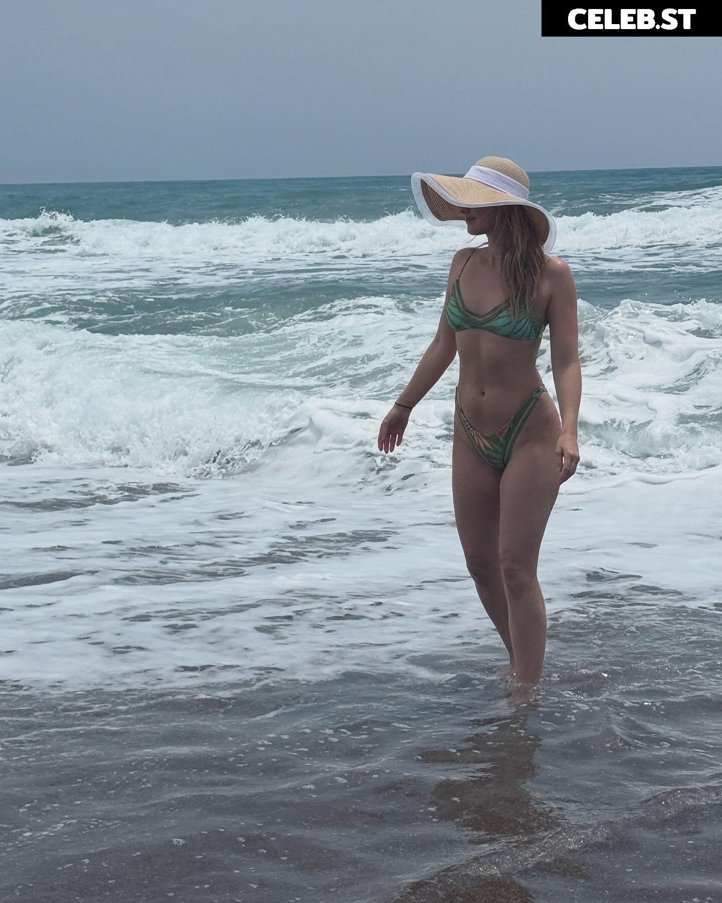 Sjokz Image 24418858