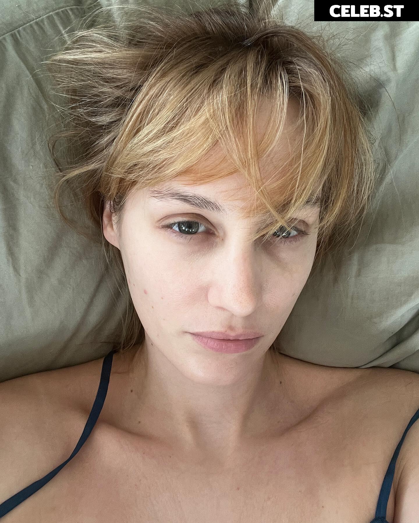 Sjokz Image 24418445