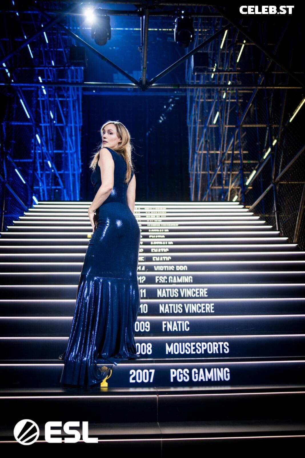 Sjokz Image 24418728