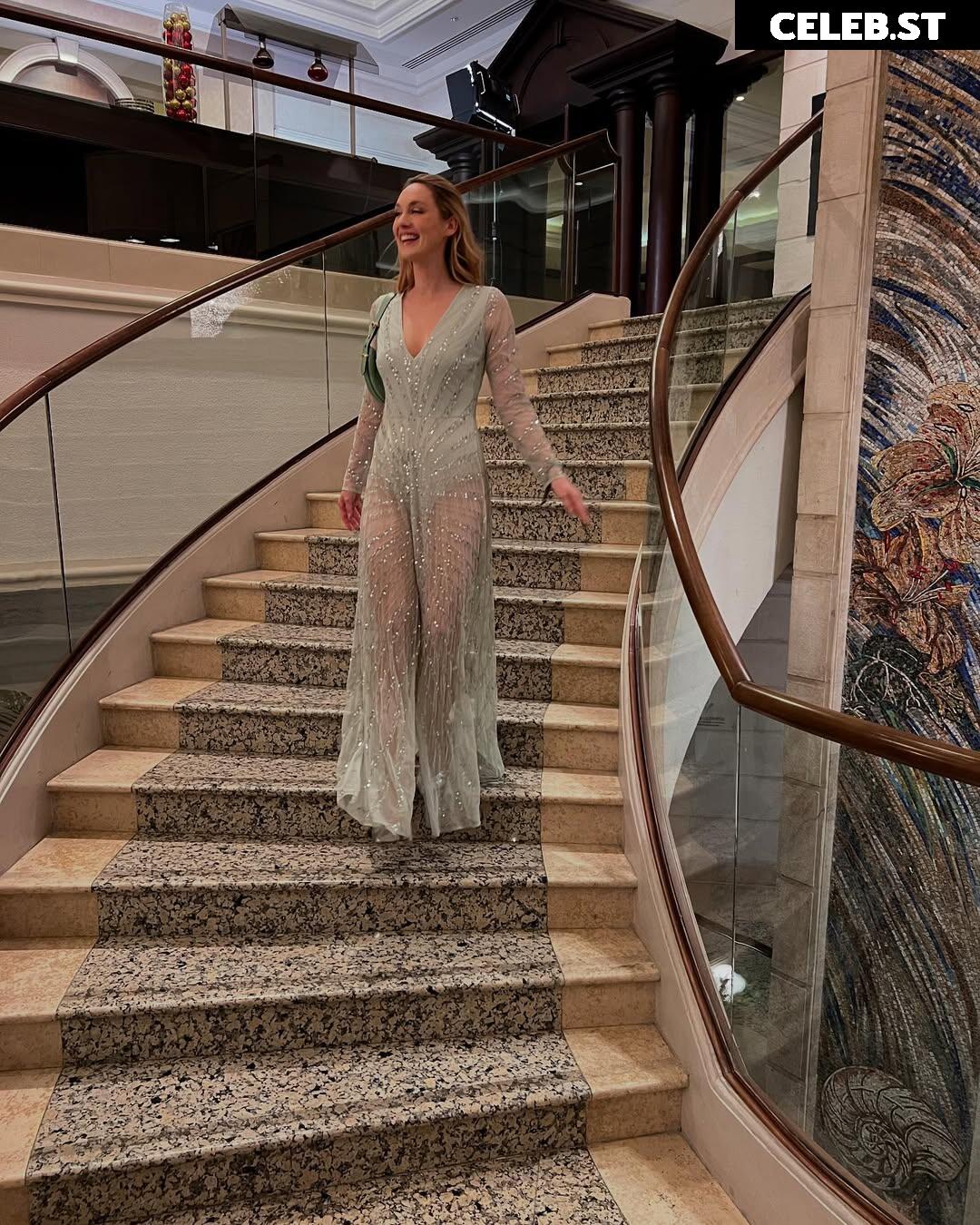 Sjokz Image 24418680