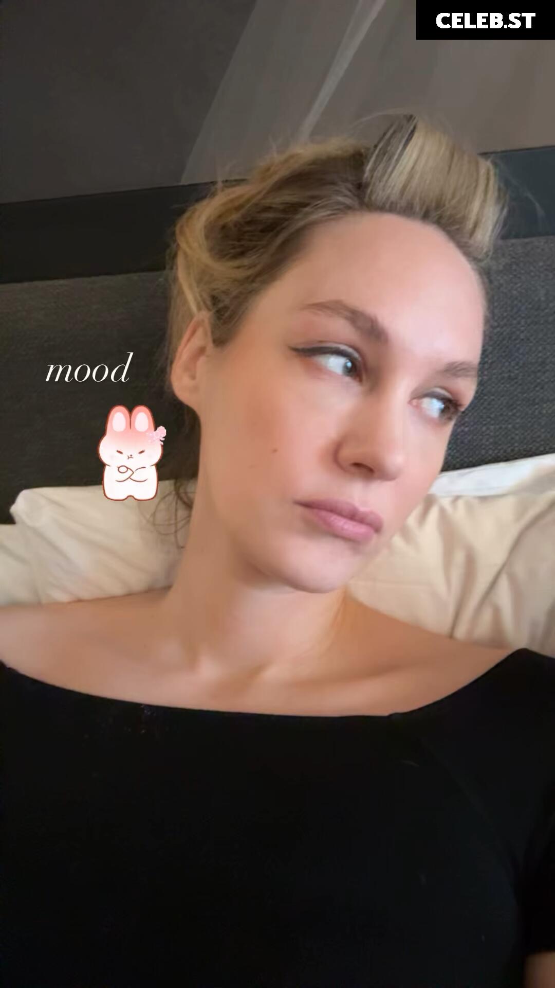 Sjokz Image 24419116