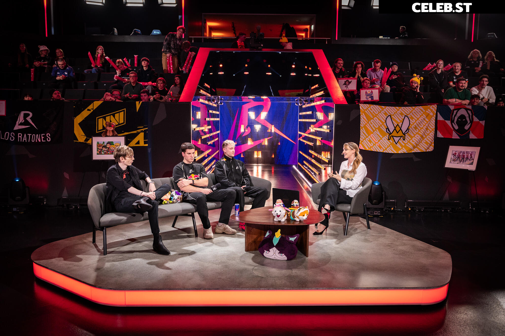 Sjokz Image 24419133