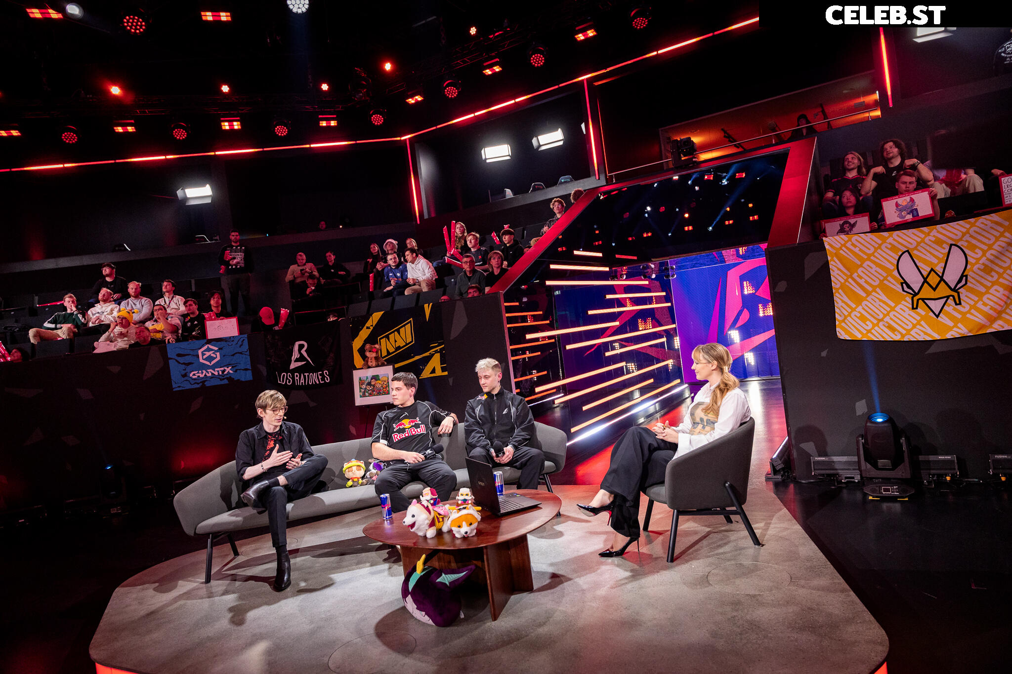Sjokz Image 24419137