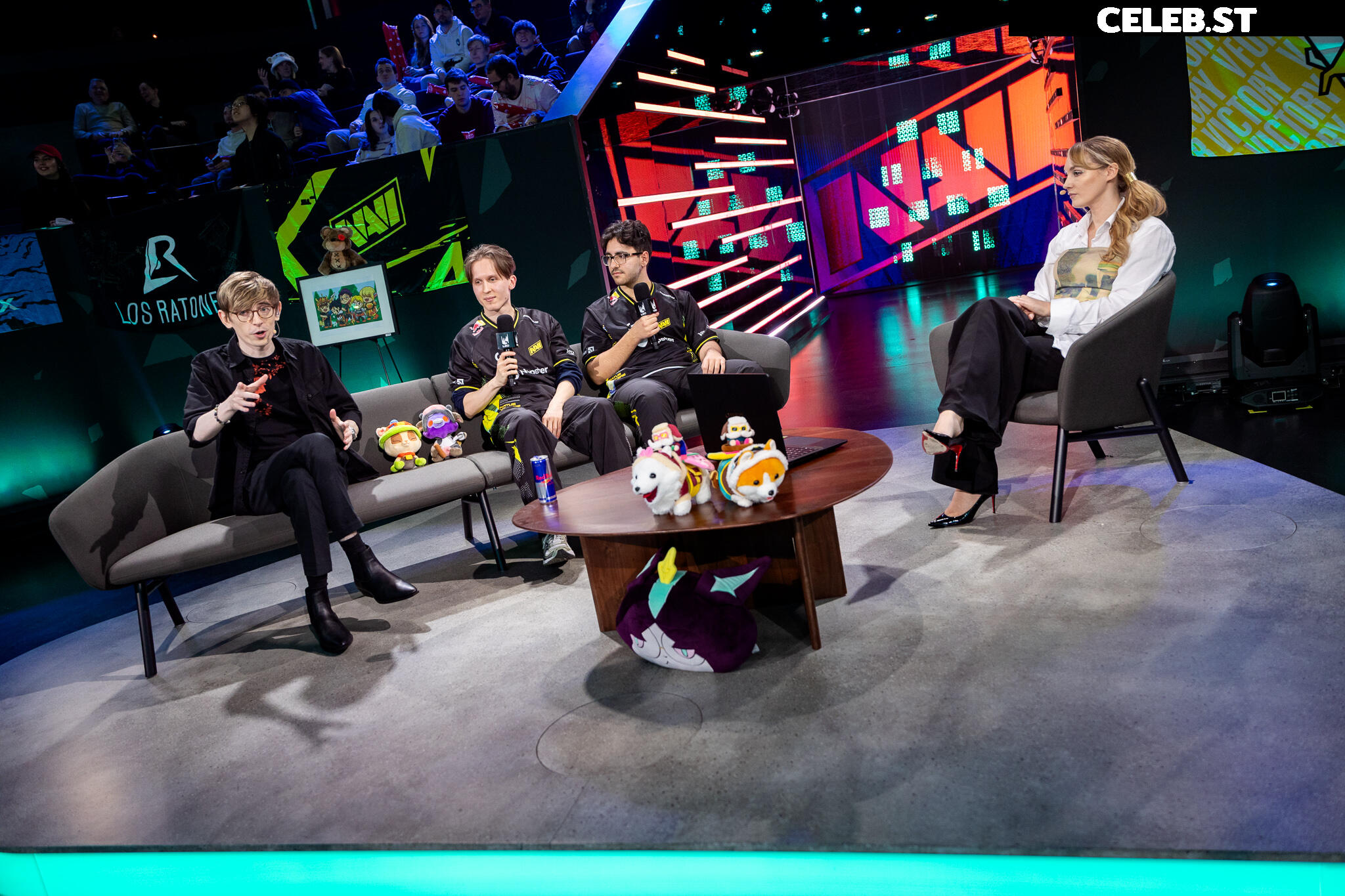 Sjokz Image 24419134