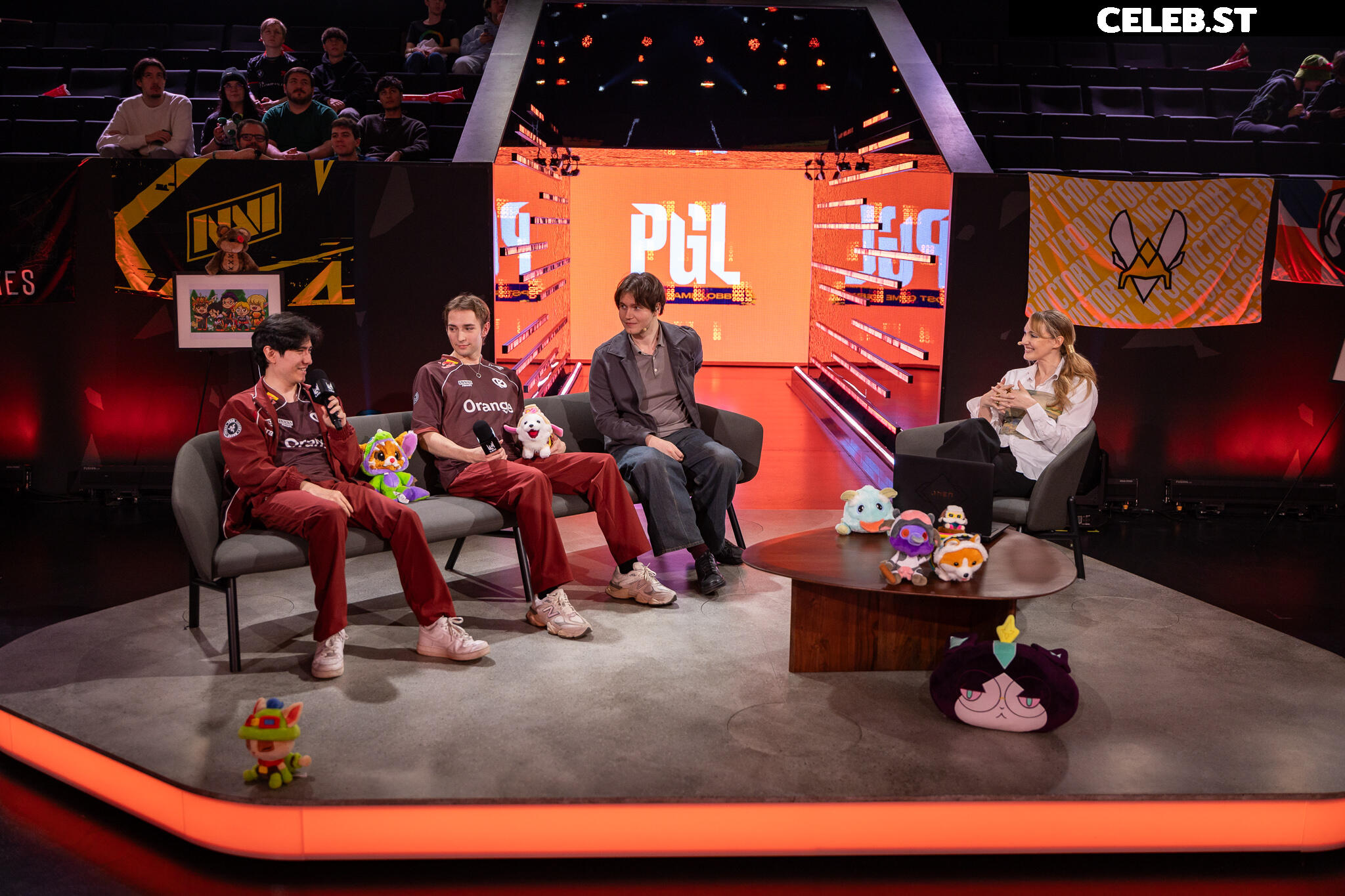 Sjokz Image 24419141