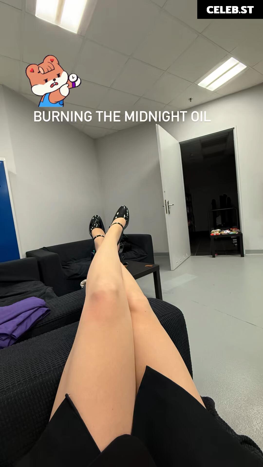 Sjokz Image 24419148