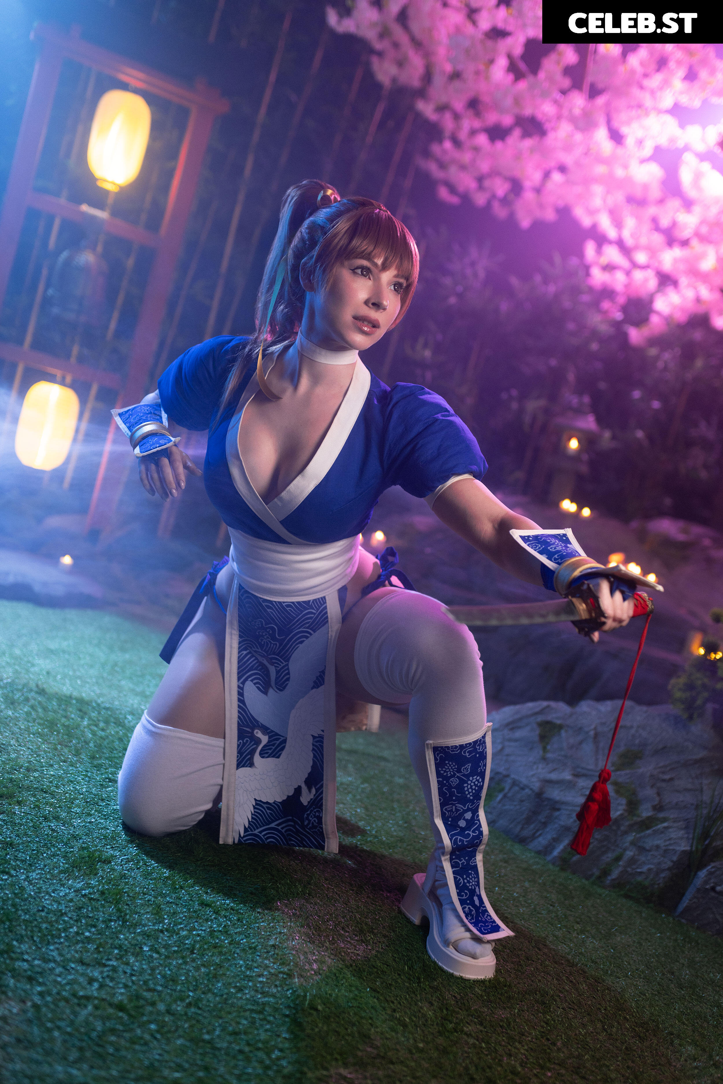 Enji Night Image 24428136