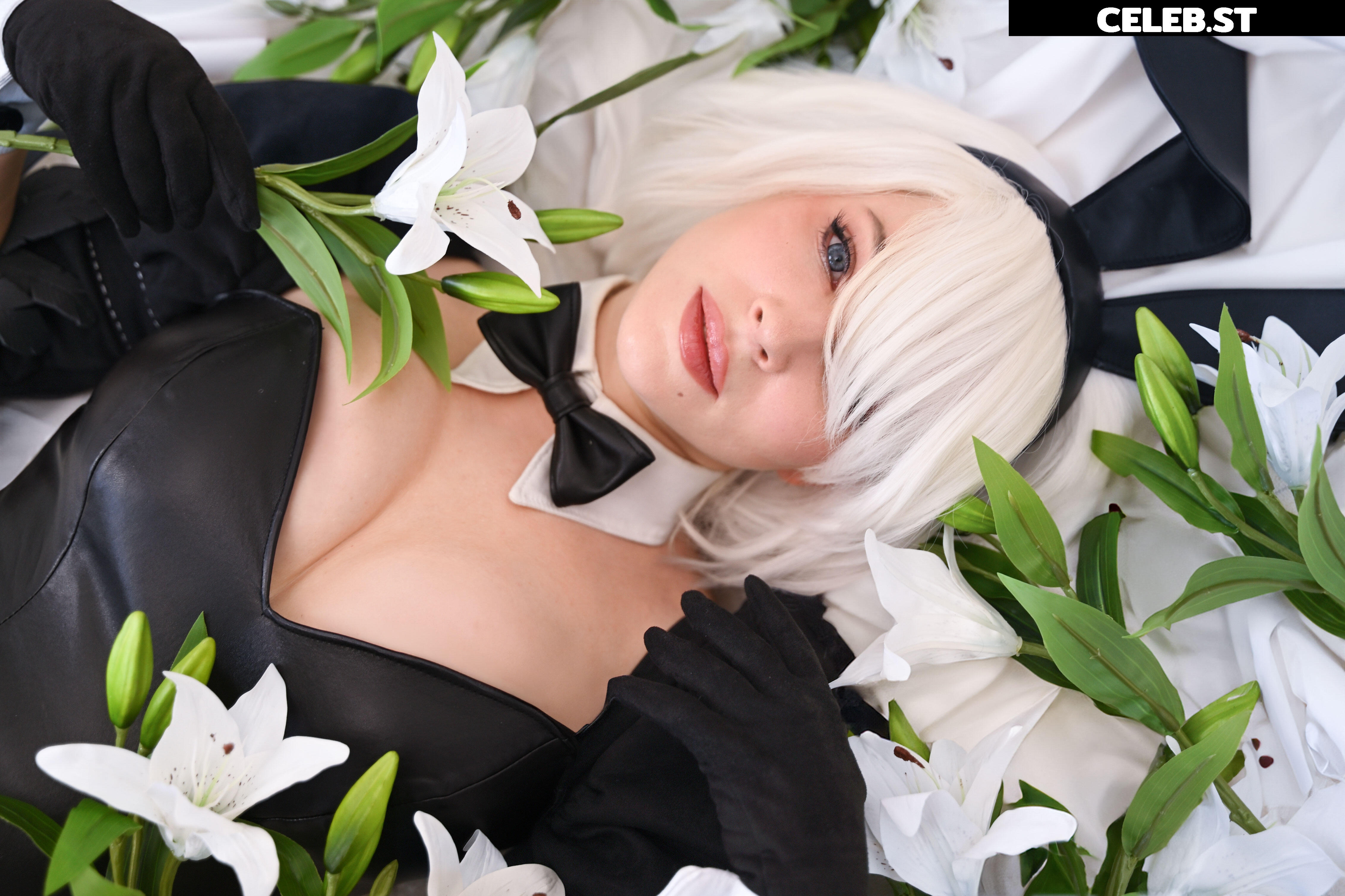 Enji Night Image 24428166