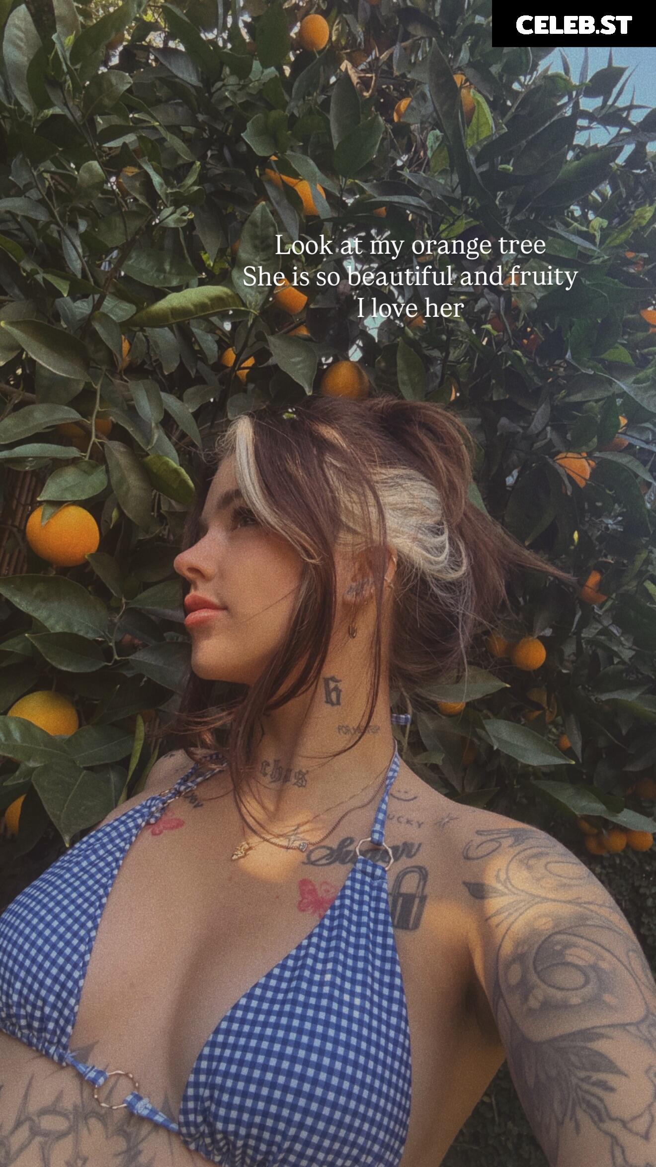 Cray/Craysounds Image 24422495