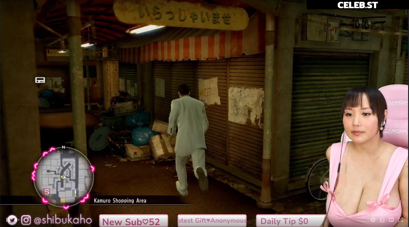 Kaho Shibuya Image 24407192