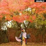 Kaho Shibuya Image 24406876