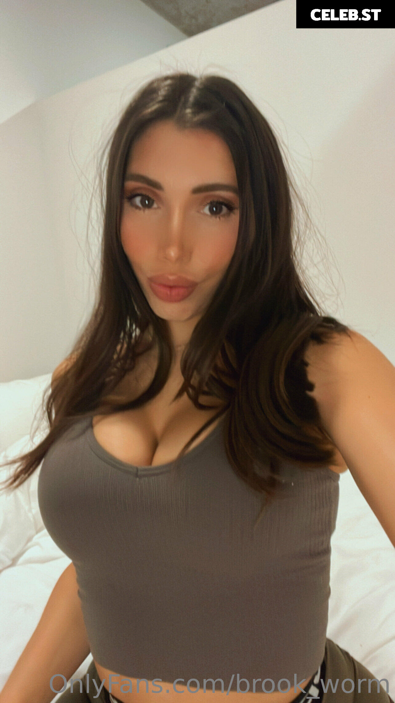 Sierra Rook Image 24402249