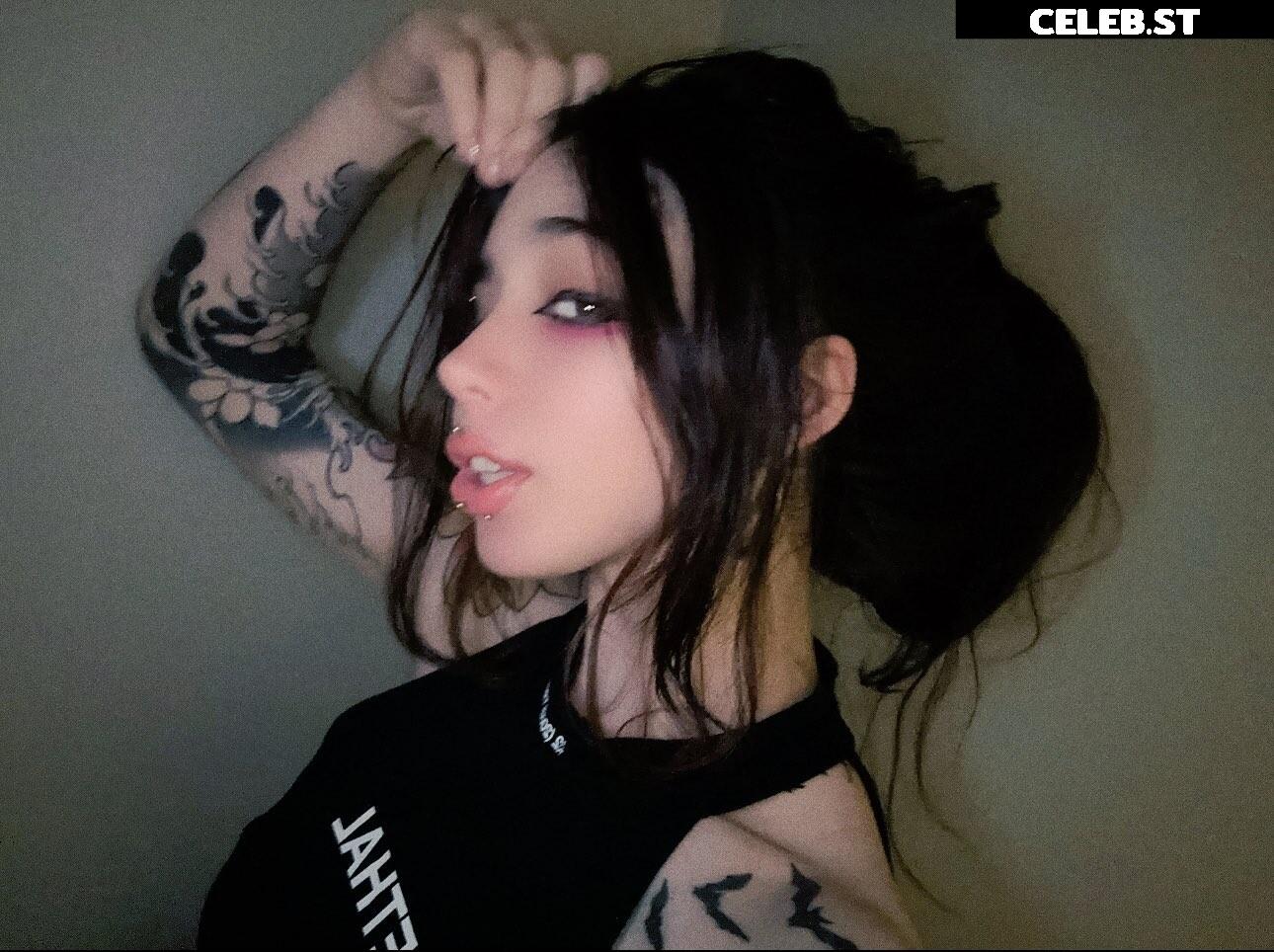 Kiwisunset Image 2448686