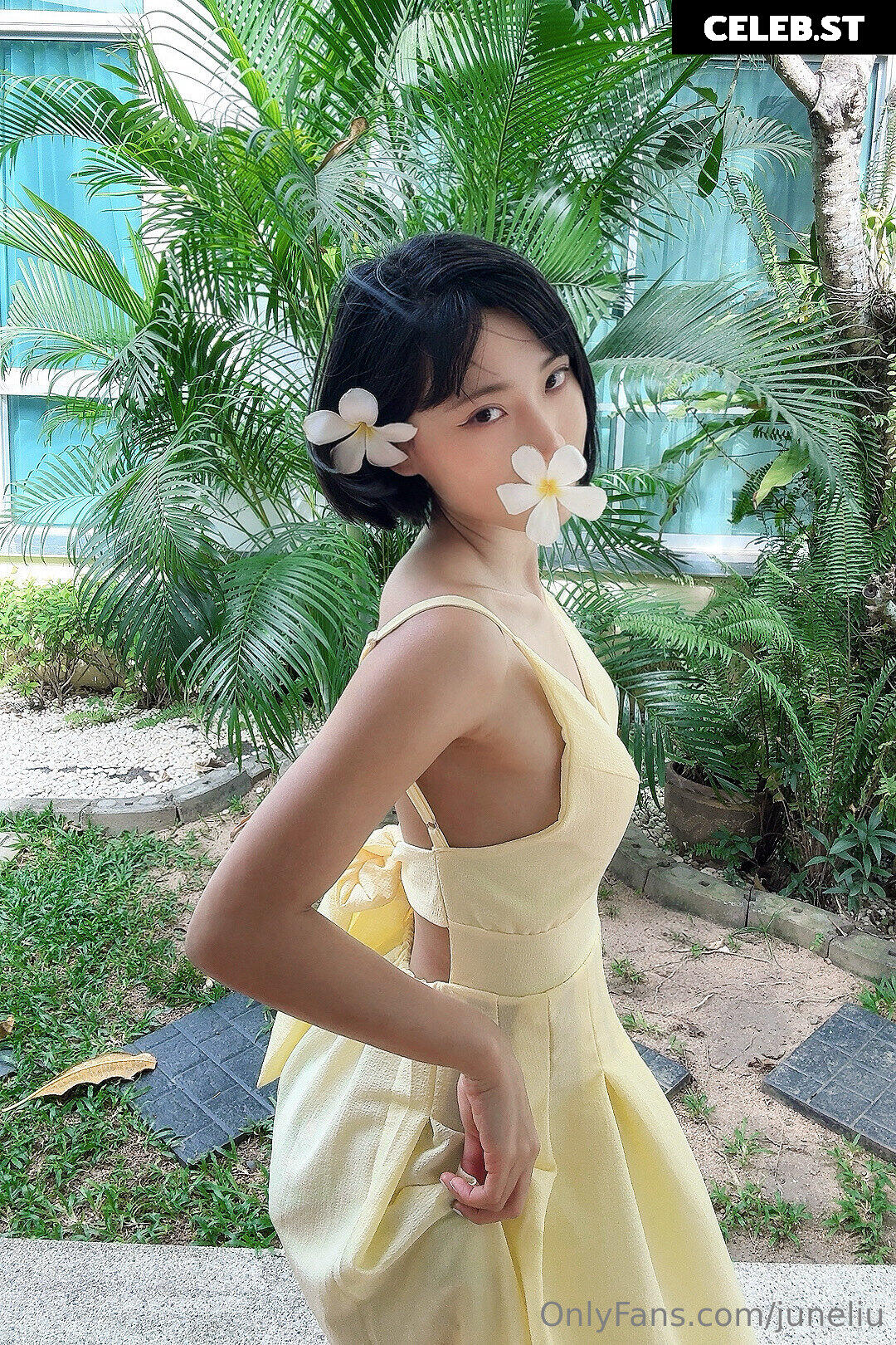 June Liu / SpicyGum Image 24355550
