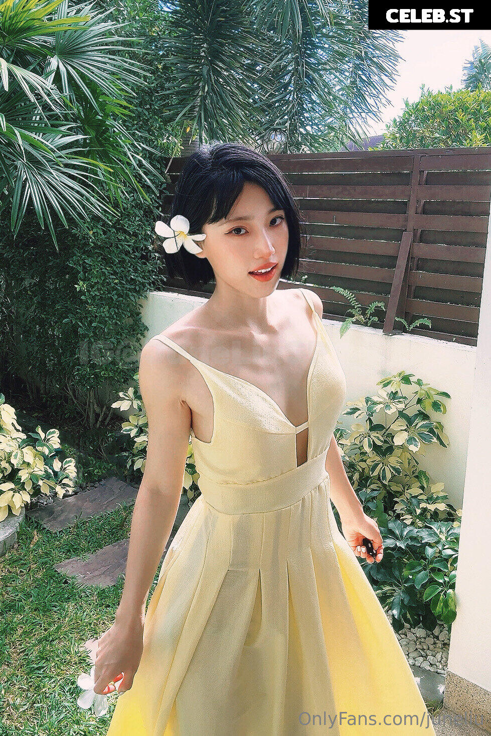 June Liu / SpicyGum Image 24355544