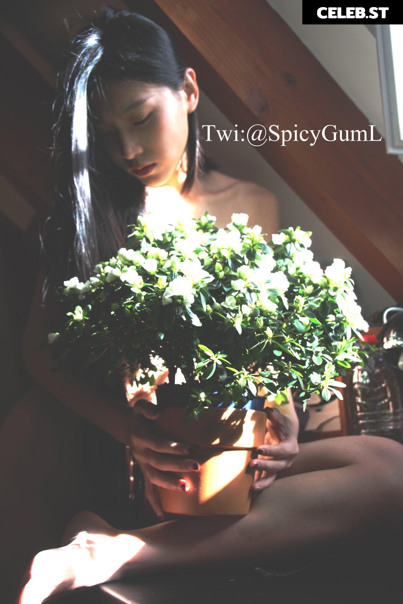 June Liu / SpicyGum Image 24355417