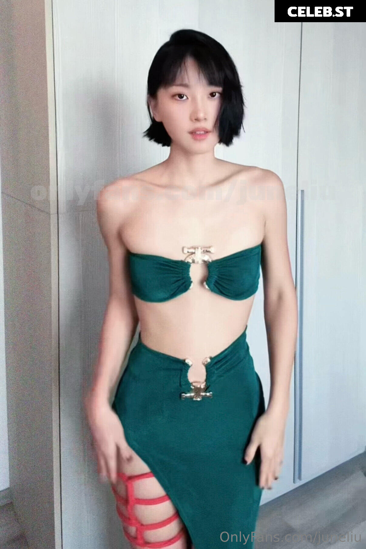 June Liu / SpicyGum Image 24355459