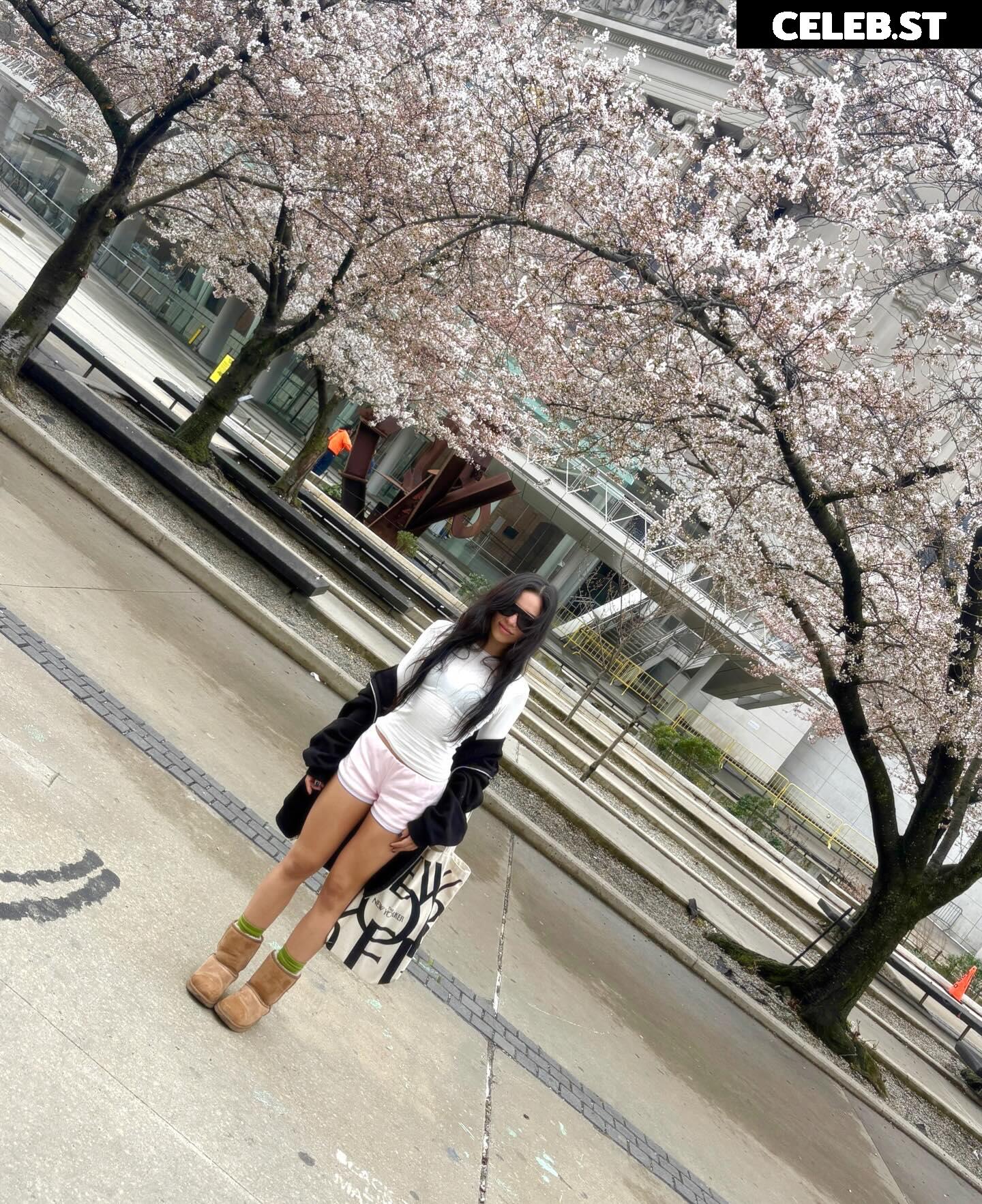 Miya Melody Image 24369085