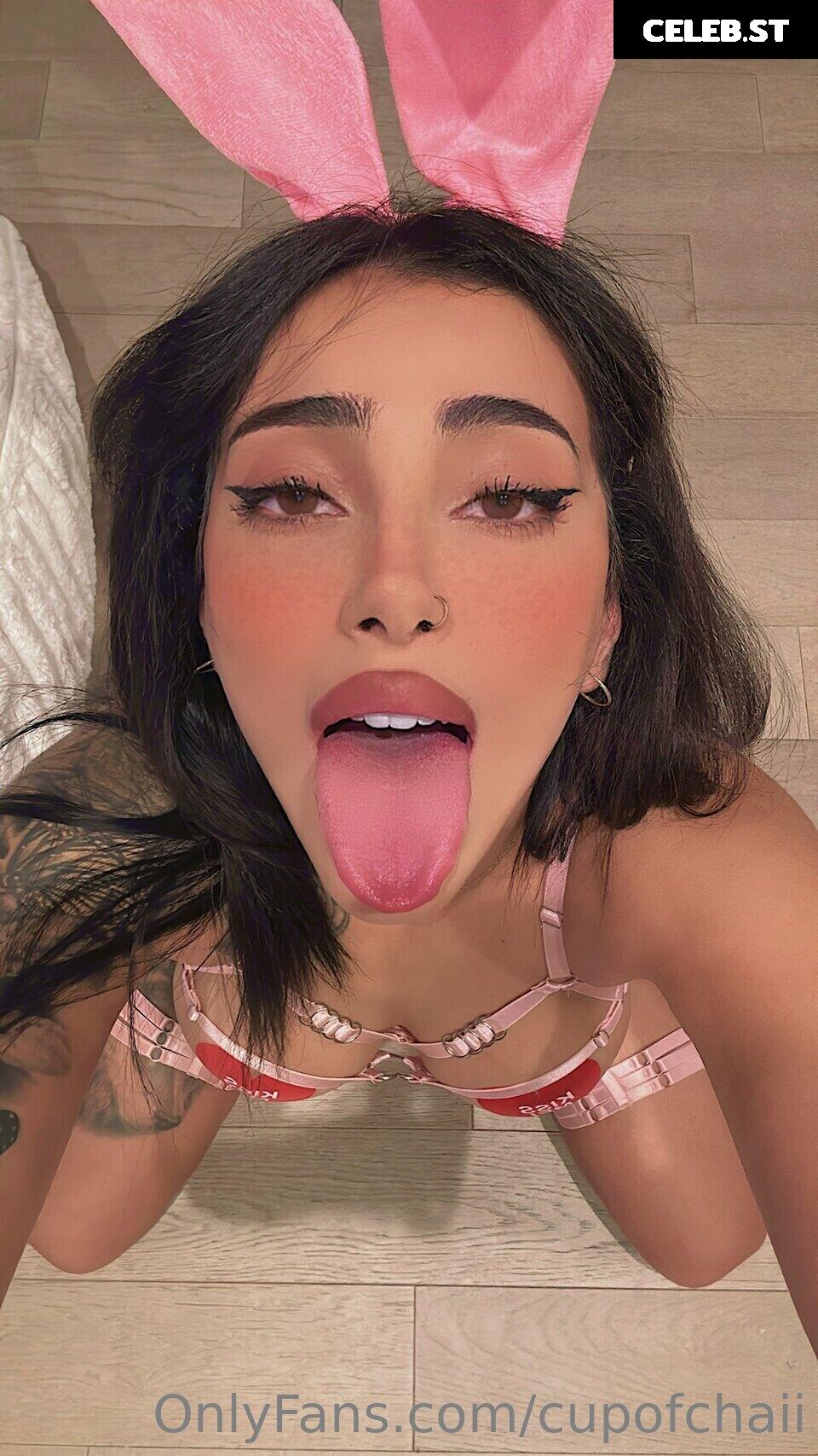 Rose Zara/cupofchaiii Image 24344481