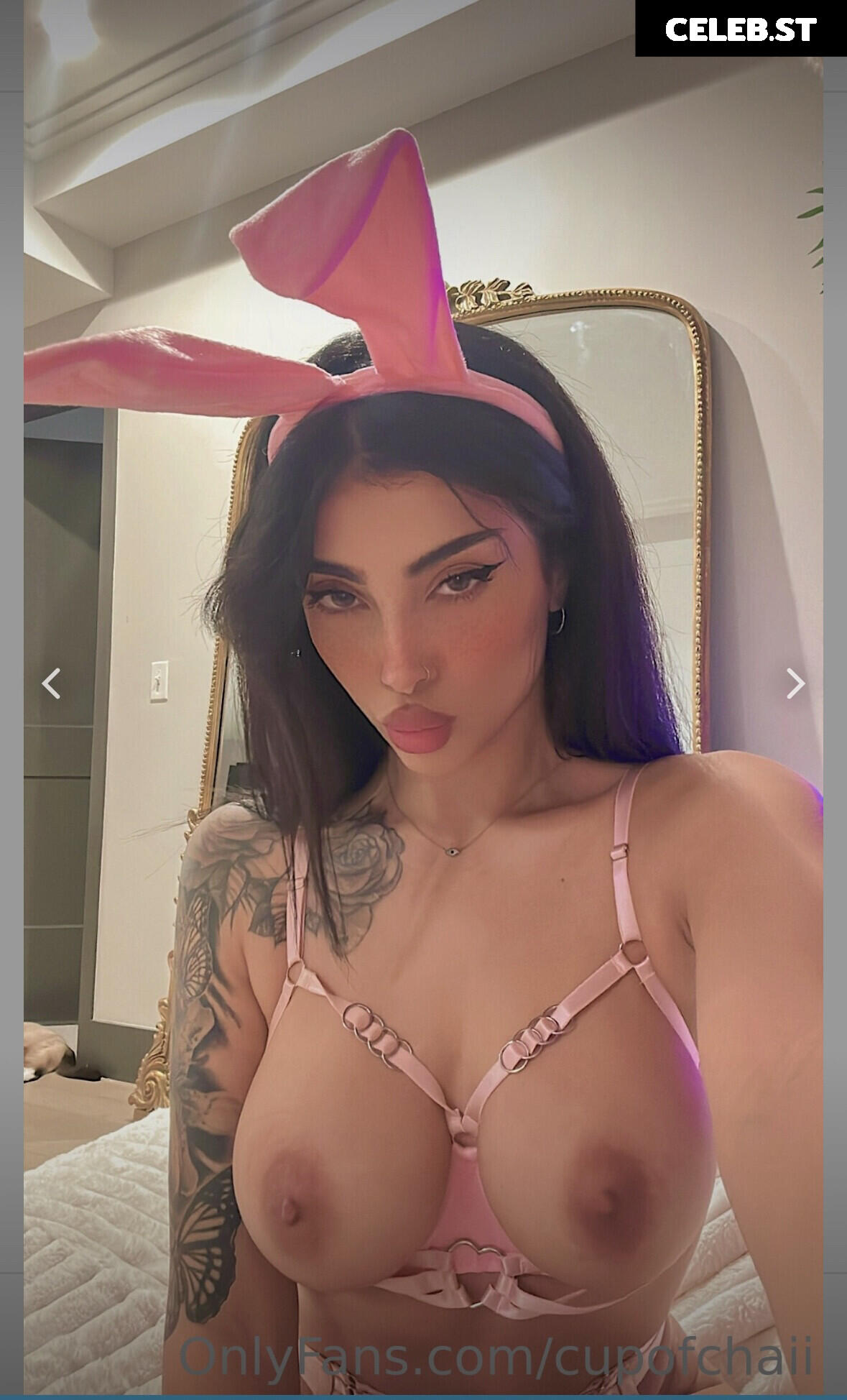 Rose Zara/cupofchaiii Image 24344428
