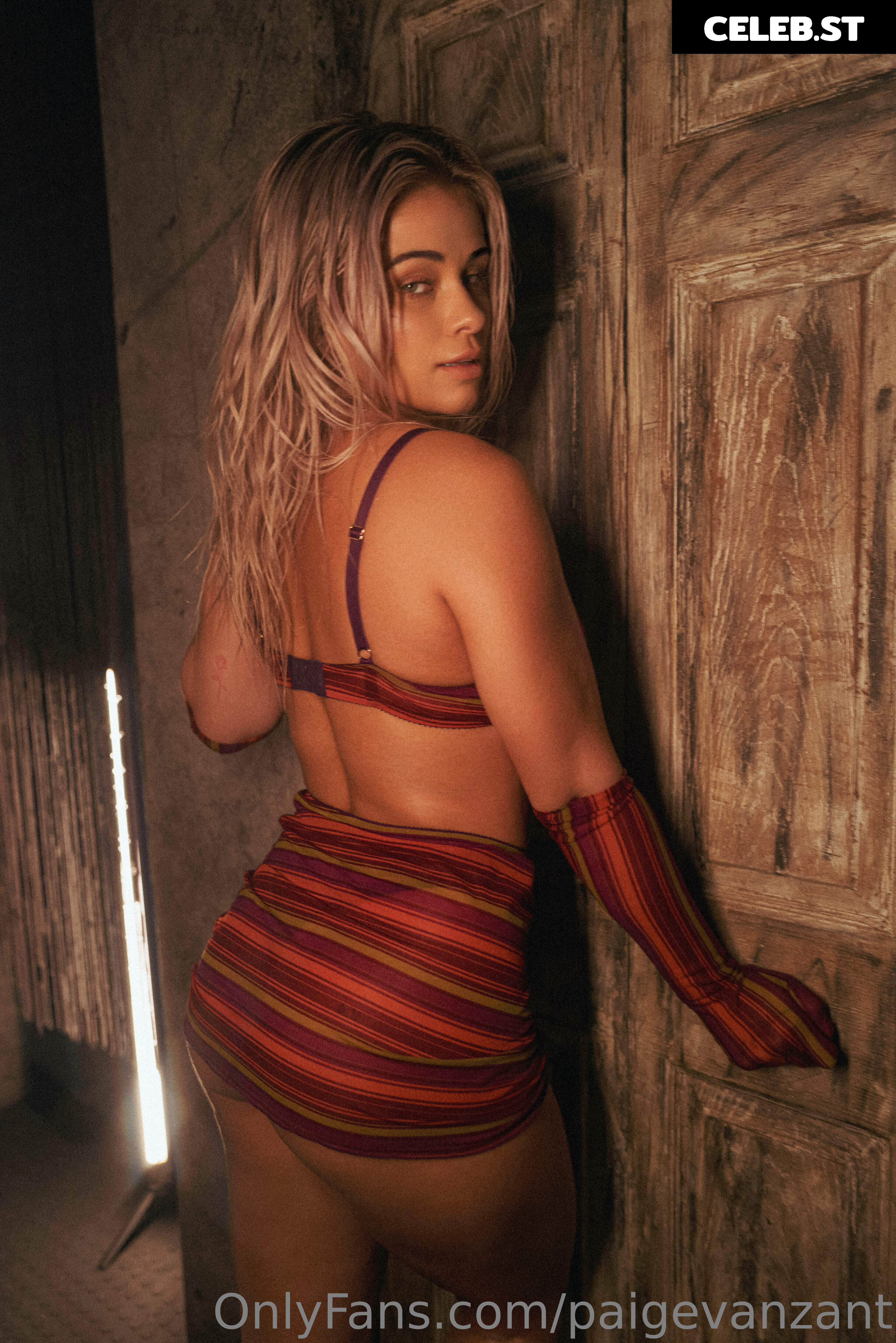 Paige Vanzant 2.0 Image 24340598