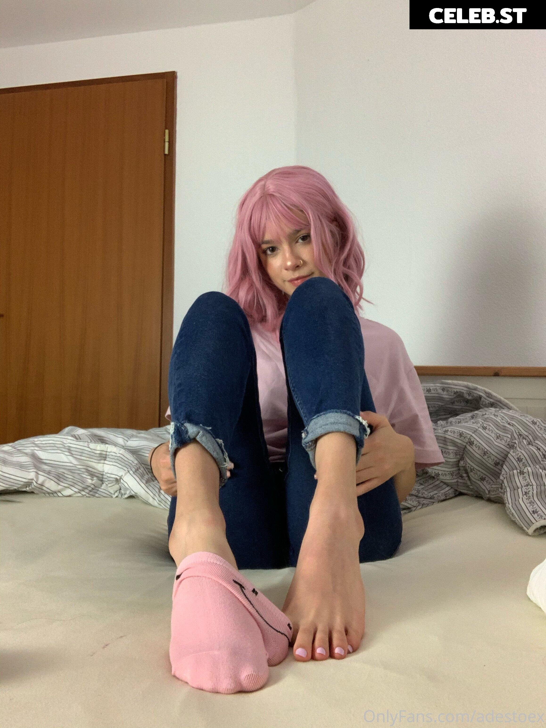 Kitsvnematic Image 2431330