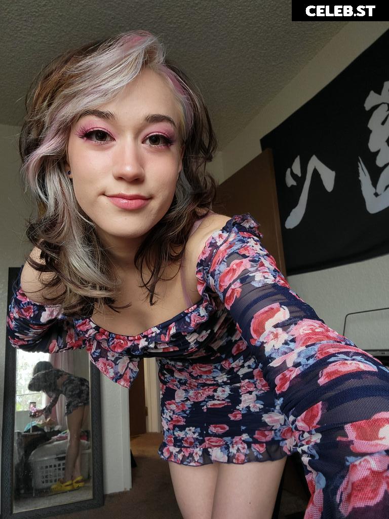 QueenTofu Image 24394092