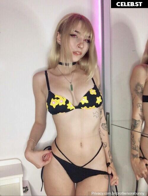 s0rabunny Image 2427805