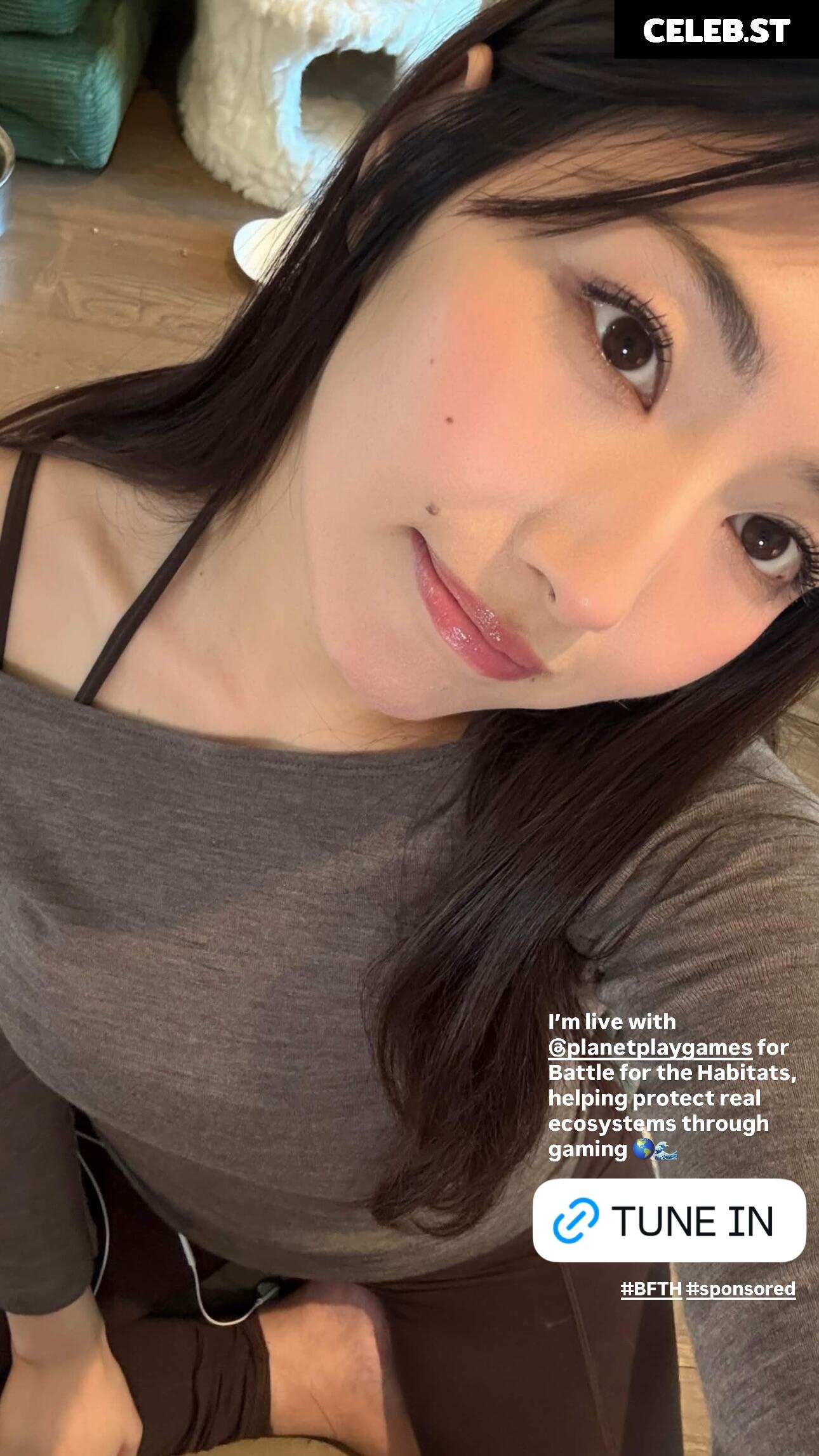 xChocobars Image 24232430