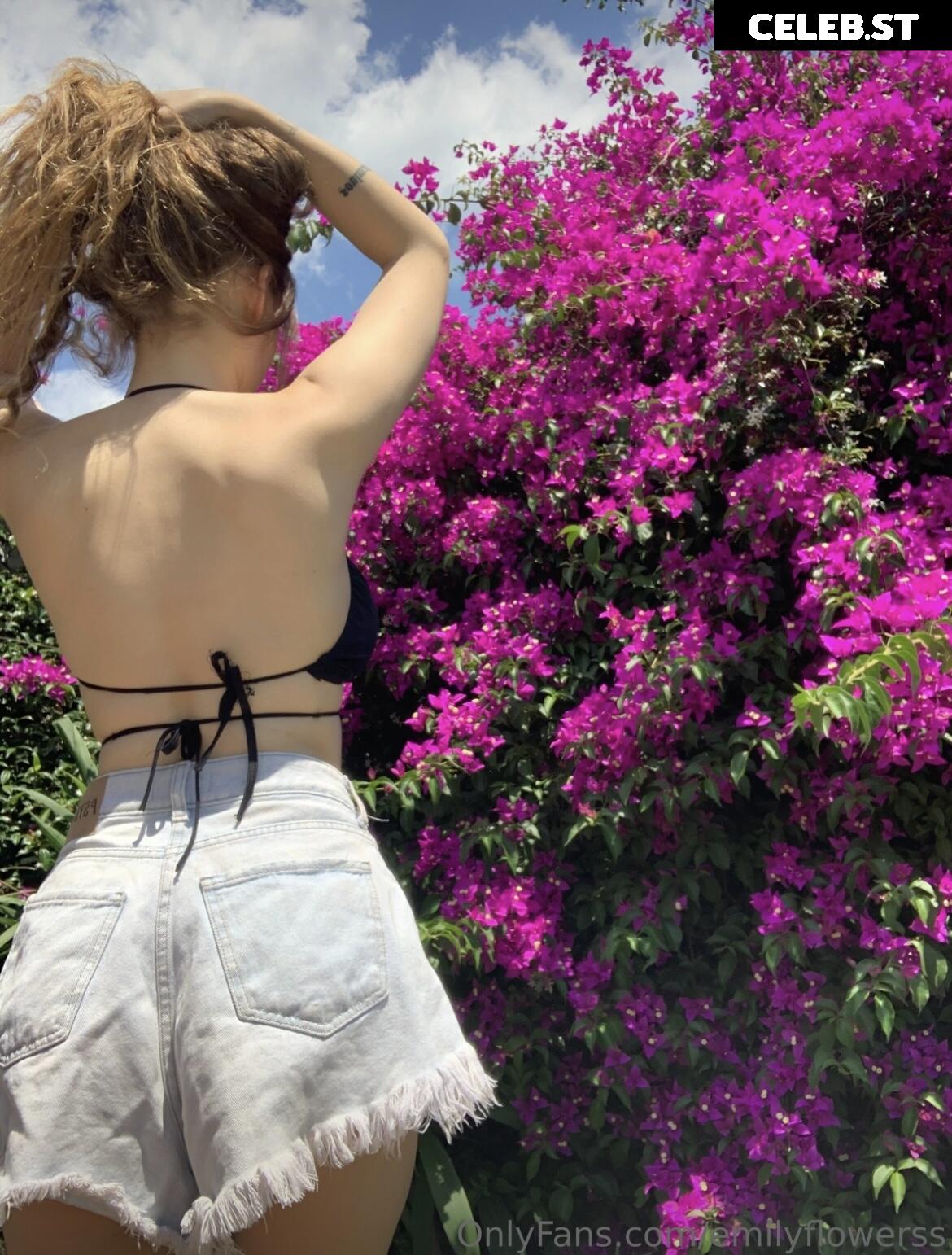 Emily.flowers Image 2413317