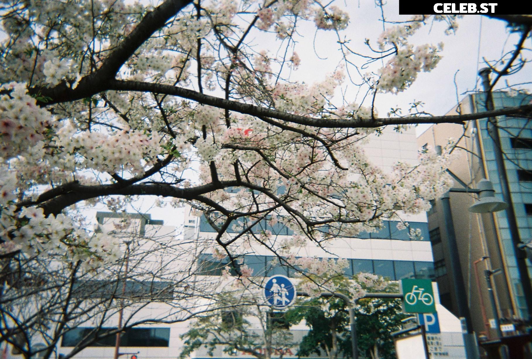 Dosya Gasai/Tsuki.Des Image 24100500