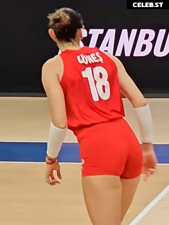 Zehra Güneş Image 24076502
