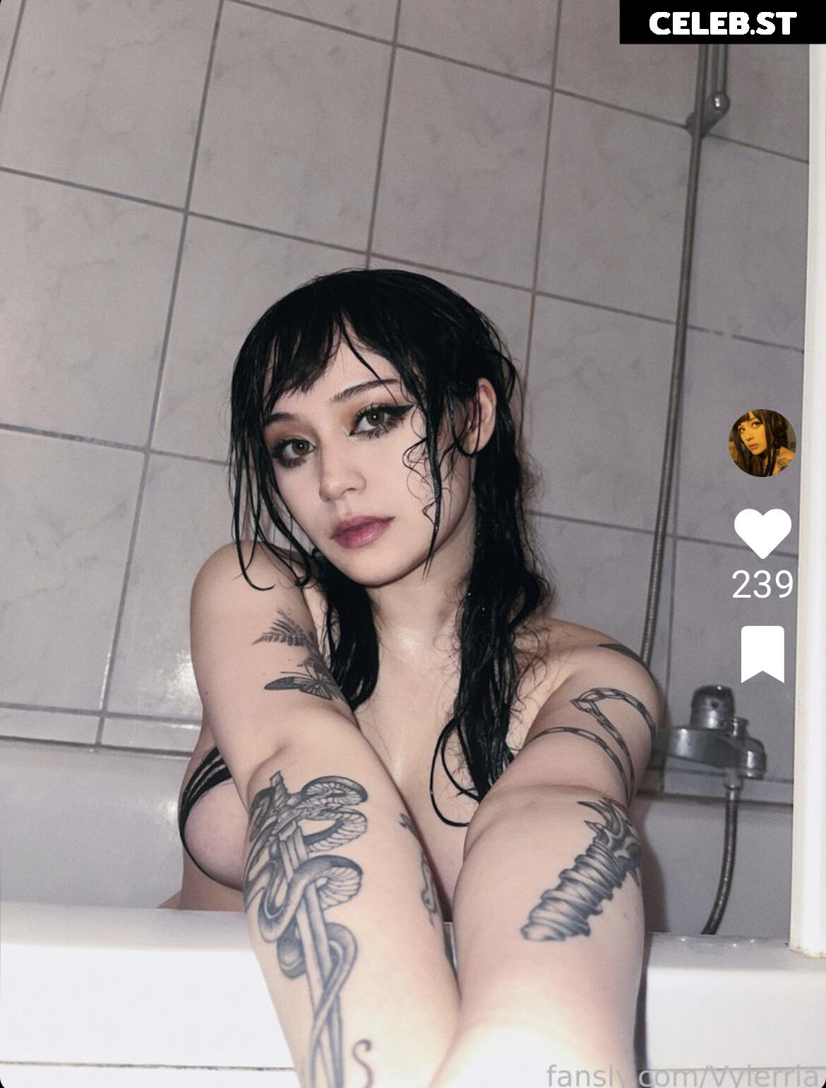 Vylerria Image 2407063