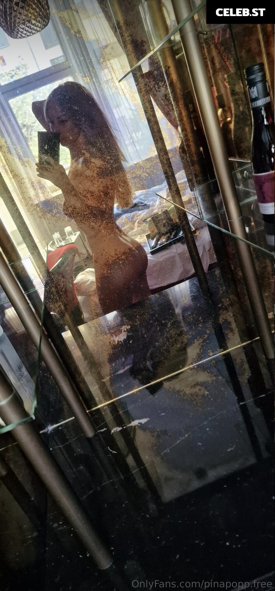 PinaPopp Image 2407367