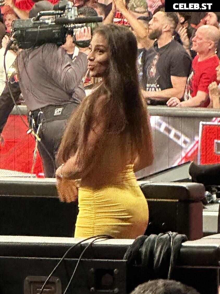 Samantha Irvin - WWE Image 24080838