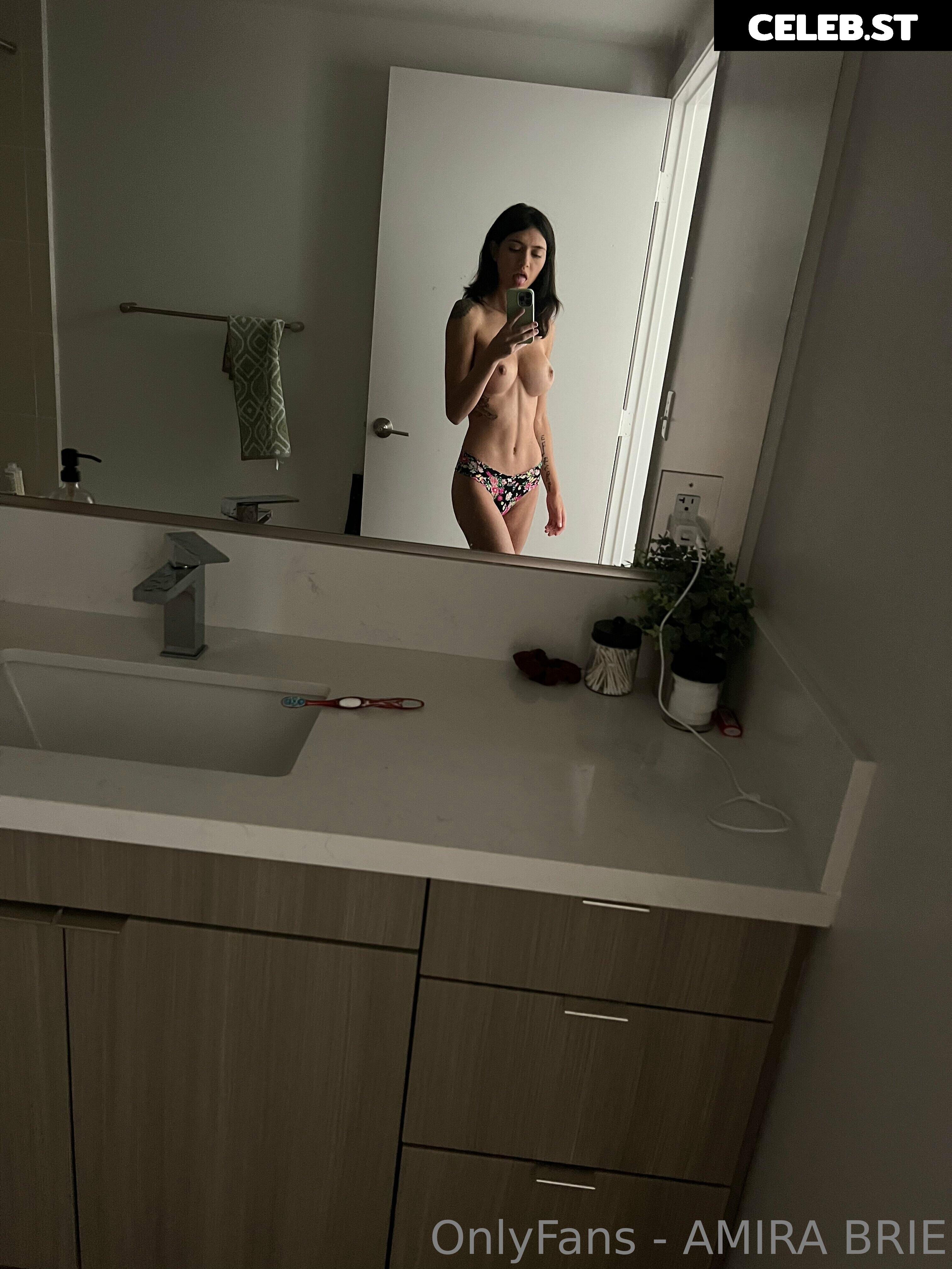 Amira Brie Image 25956773