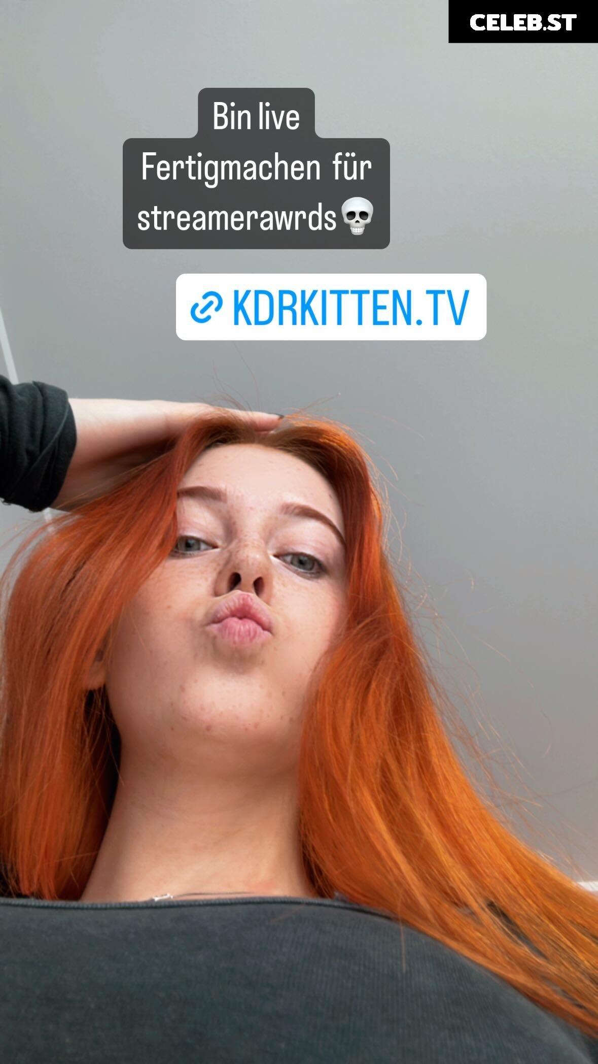 KDRkitten Image 2596760
