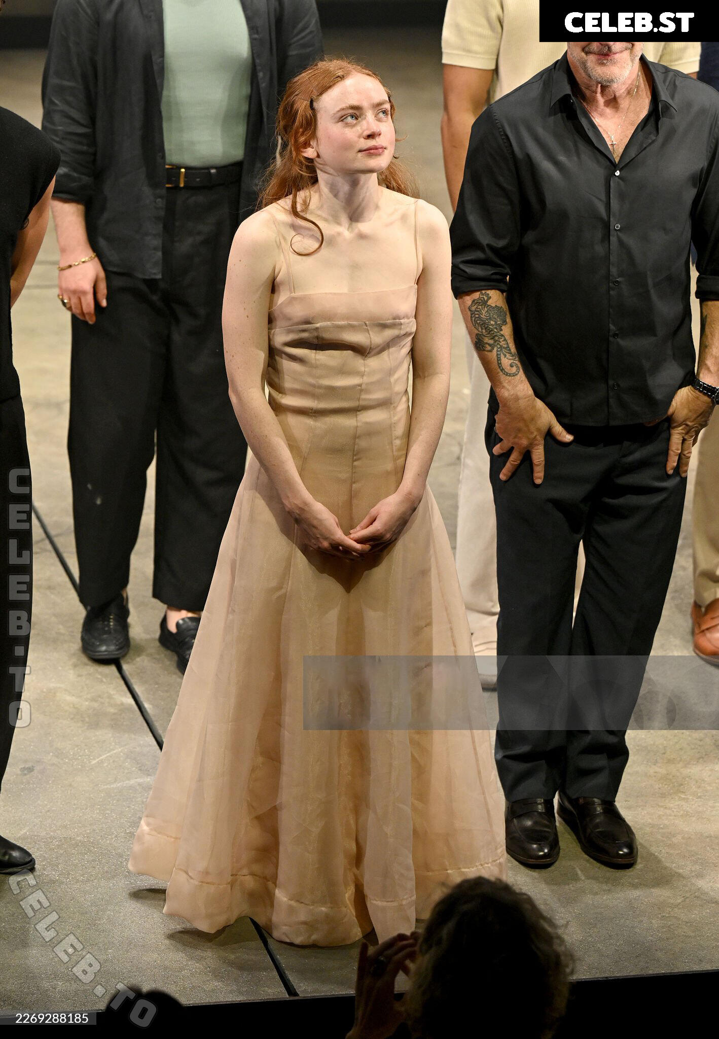 Sadie Sink Image 25973739
