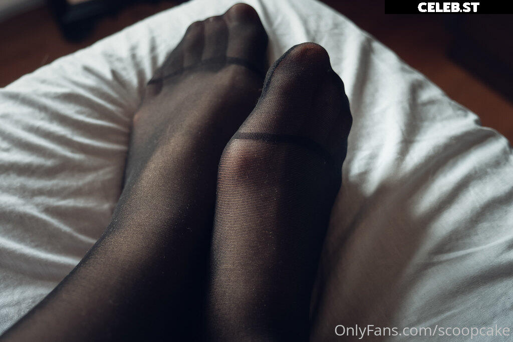 Scoopcake Image 259460