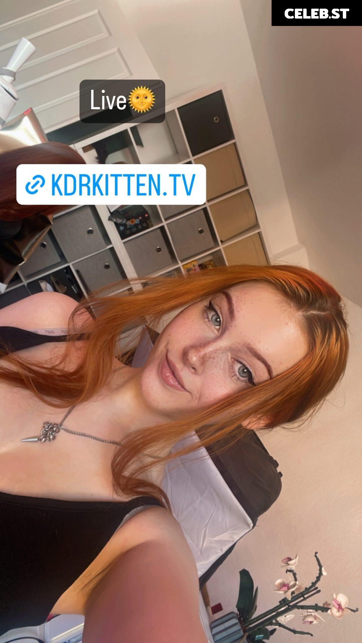 KDRkitten Image 2592115