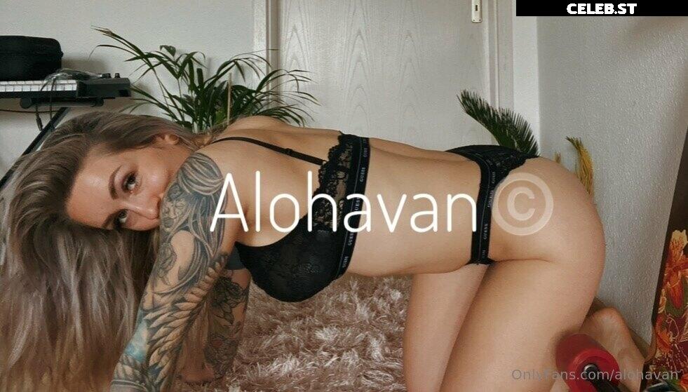 Alohavan Image 2592003