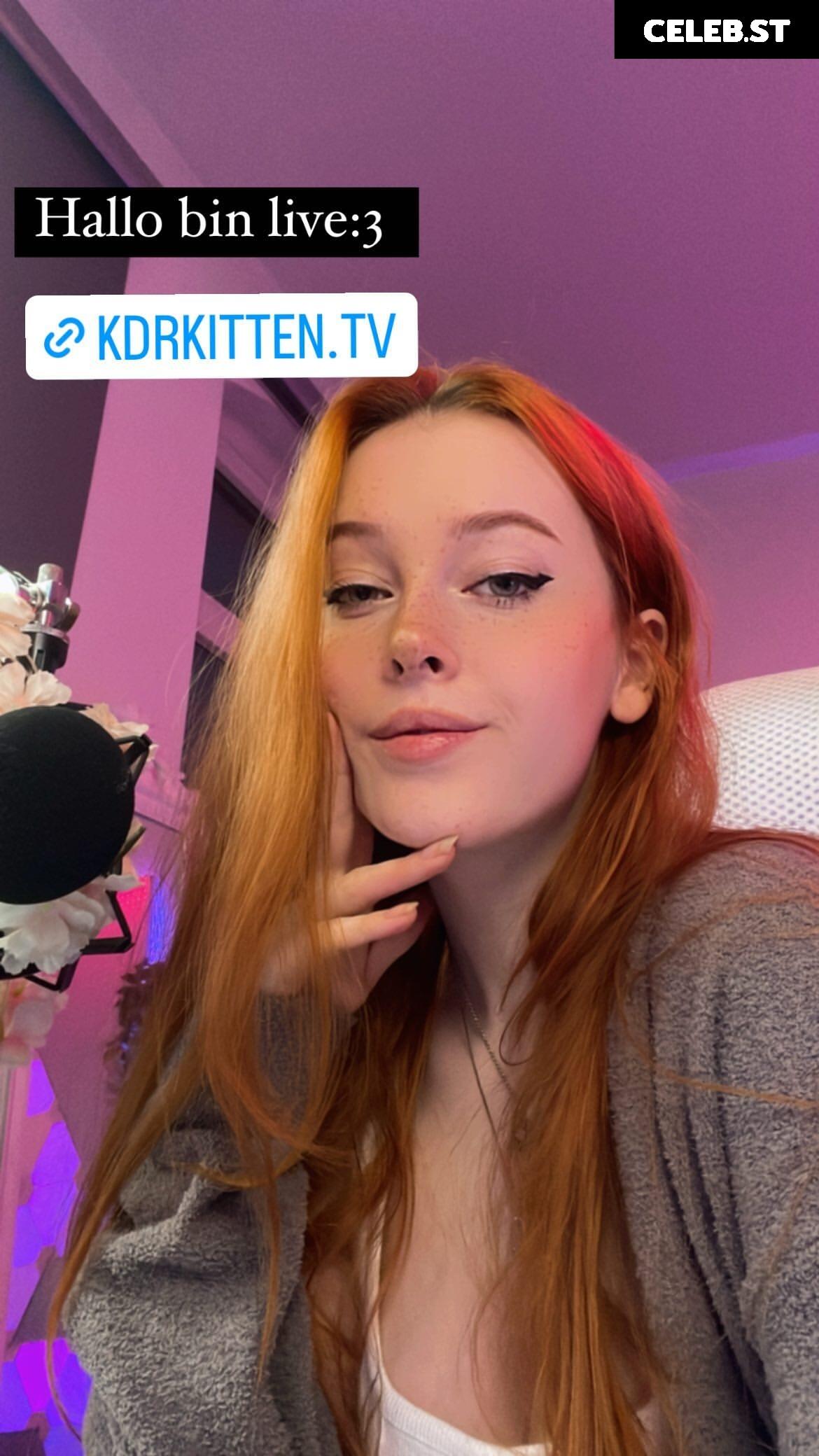 KDRkitten Image 2593050