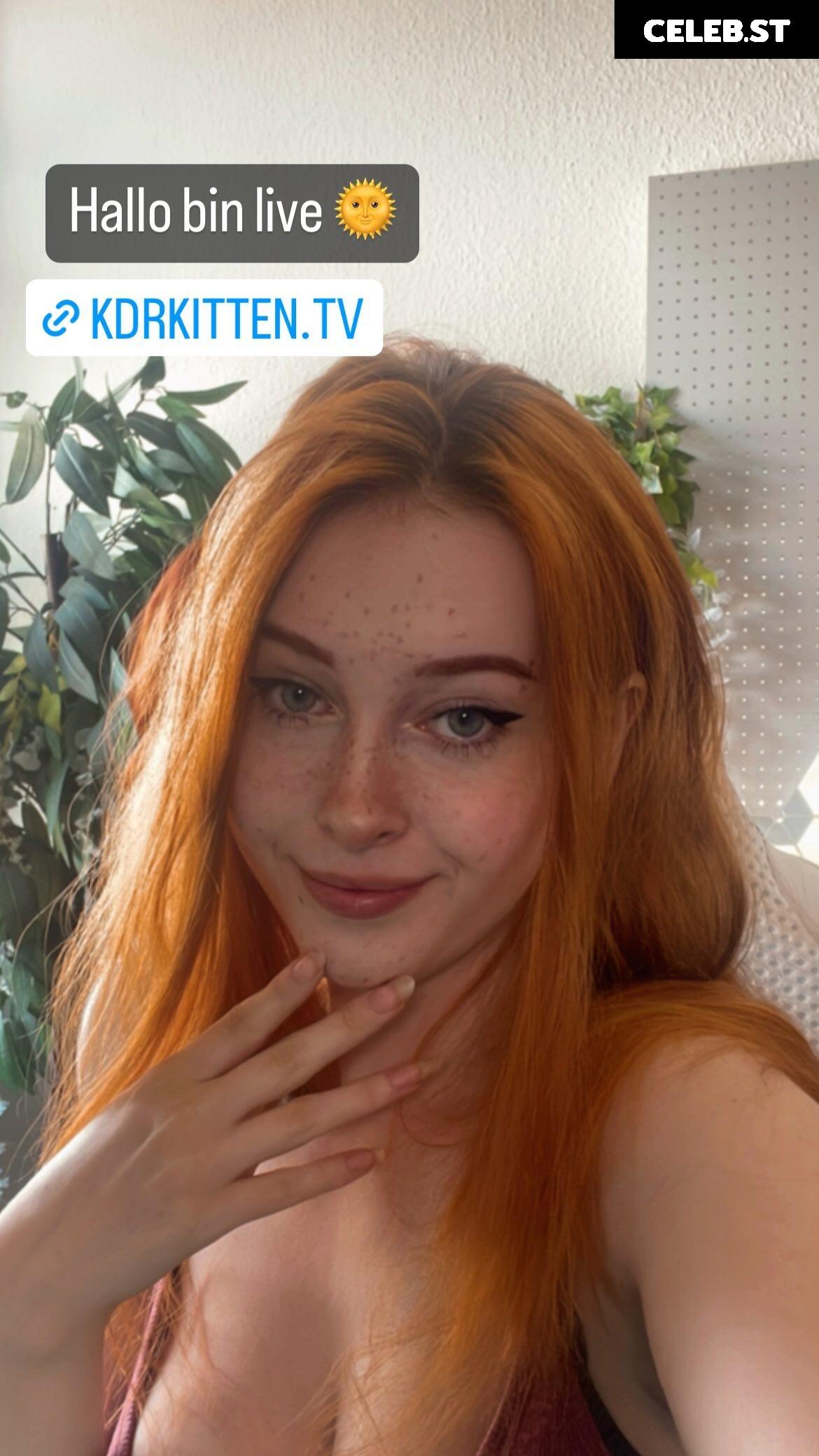 KDRkitten Image 2590421