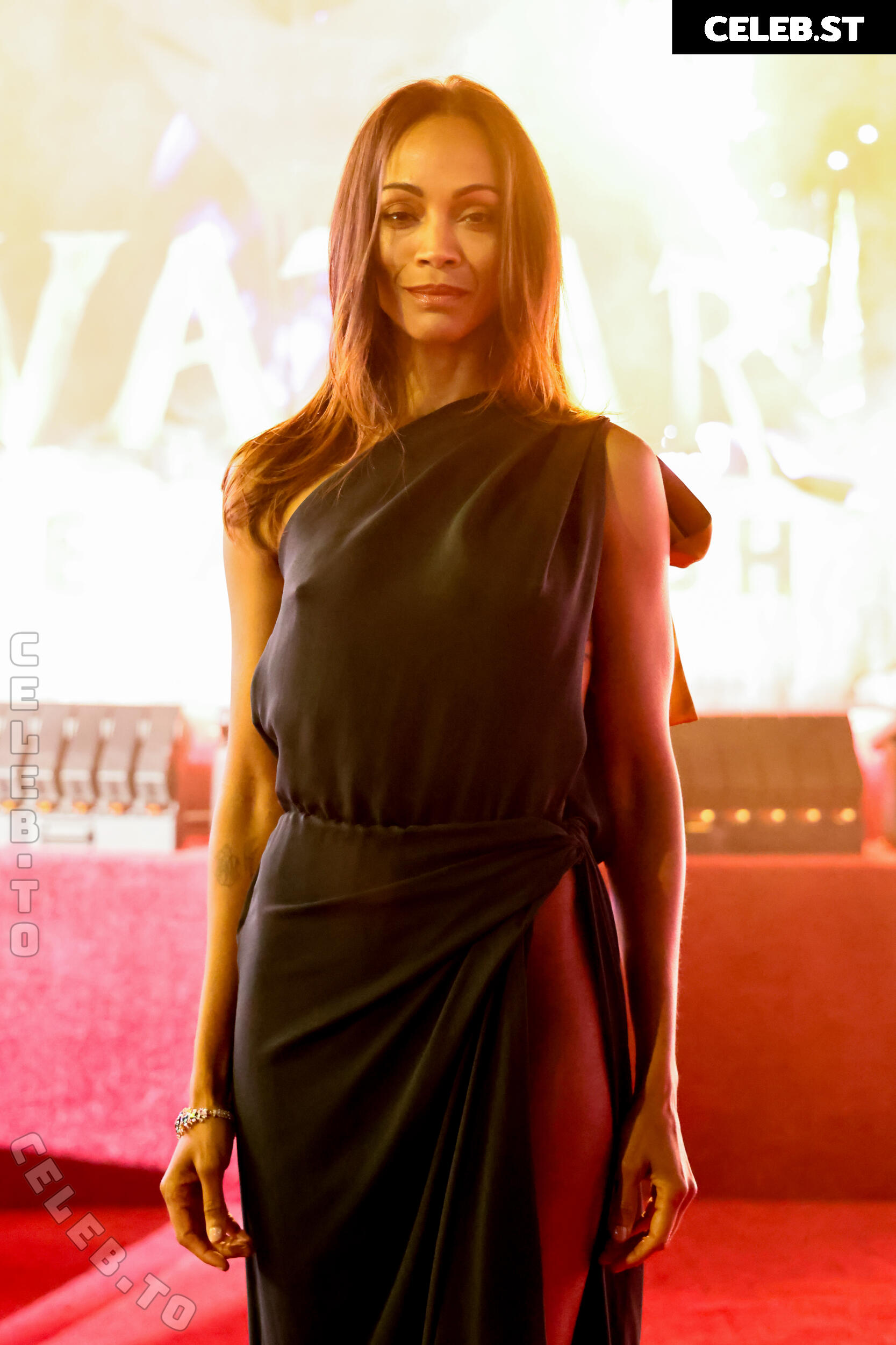 Zoe Saldana Image 25903985